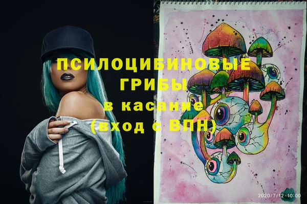 ПСИЛОЦИБИНОВЫЕ ГРИБЫ Нея