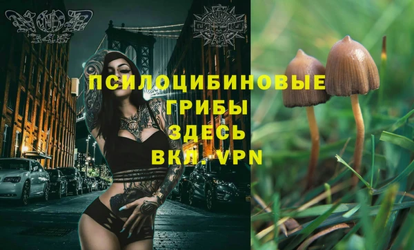 гидра Нефтекумск