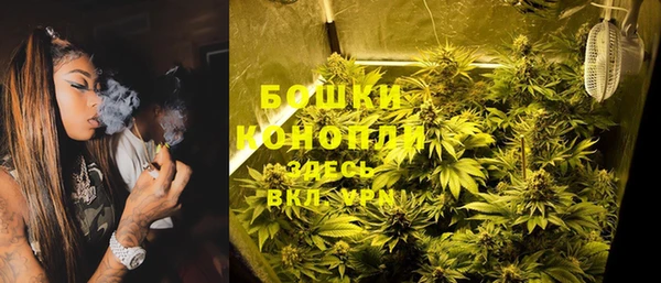 ПСИЛОЦИБИНОВЫЕ ГРИБЫ Нея