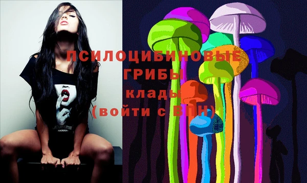 стафф Нефтегорск