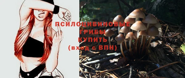 ПСИЛОЦИБИНОВЫЕ ГРИБЫ Нея