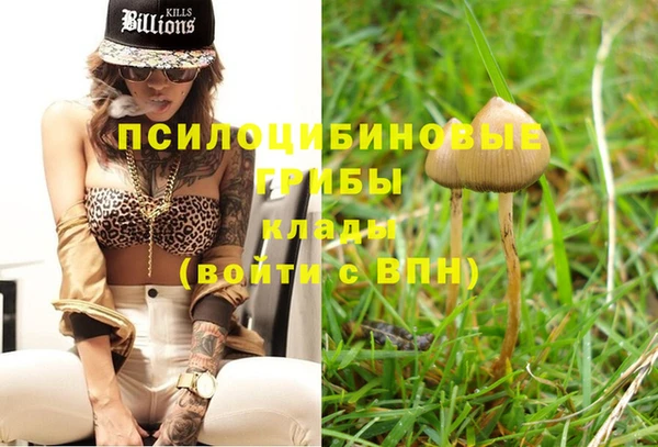 ПСИЛОЦИБИНОВЫЕ ГРИБЫ Нея